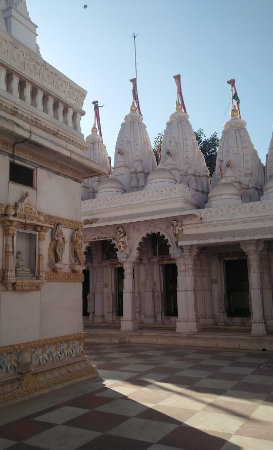 Shri Vasupujya Swami Jain Derasar, Vadhavan,  Surendranagar (Gujarat) image 1