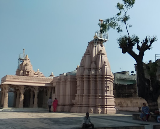 Shri Vighanhar Parshvnath Bhagwan Derasar, Shri Mota Poshina Tirth, Poshina, District - Sabar Kantha (Gujarat) thumbnail 6