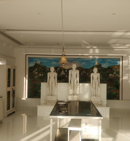 Shri Mahaveer Swami Digamber Jain Mandir, Vasant Vihar, Navrangpura, Ahmedabad (Gujarat) thumbnail 3