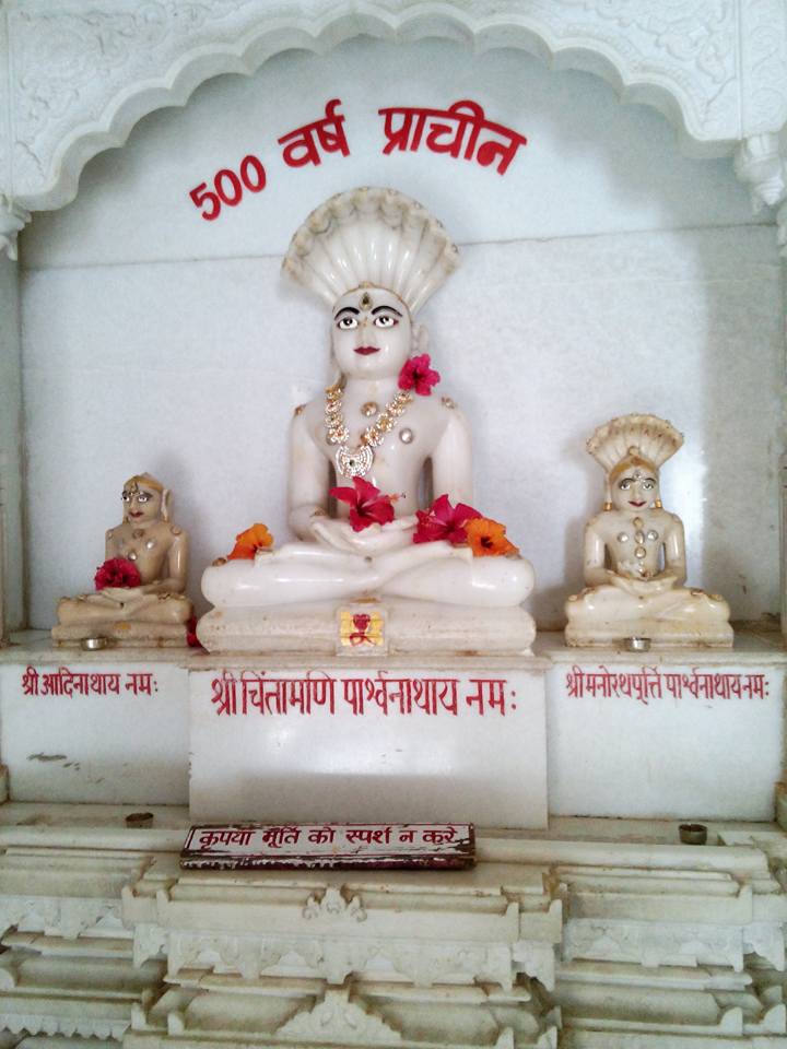 Shri Gajabhishek Jain Tirth, Saputara, District - Dang (Gujarat) thumbnail 6
