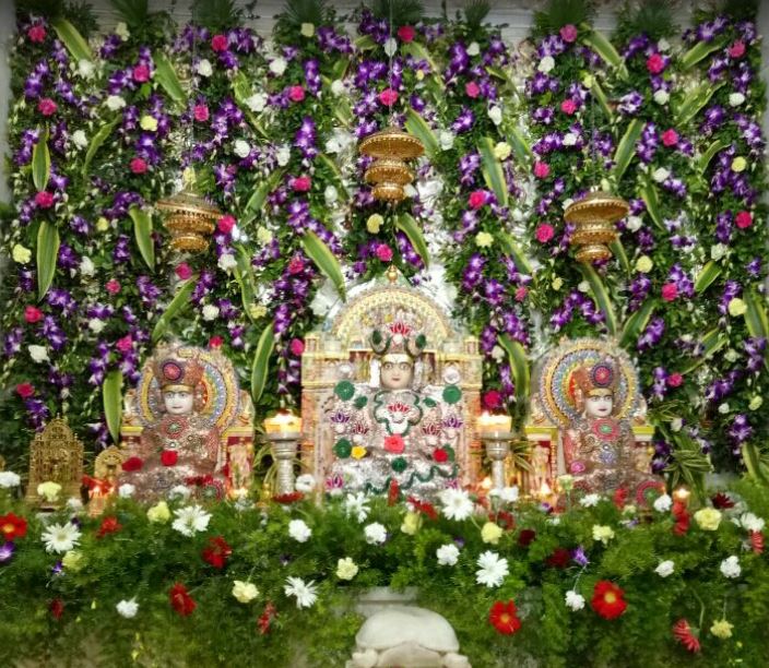 Nutan Society Jain Derasar, Tithal Road, Zinnat Nagar, Valsad (Gujarat) image 1