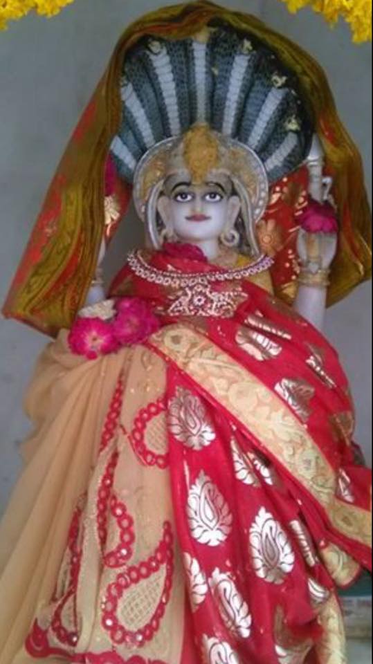 Shri Kunthunath Swami Jain Derasar, High Tension Road, Subhanpura, Vadodara (Gujarat) image 8