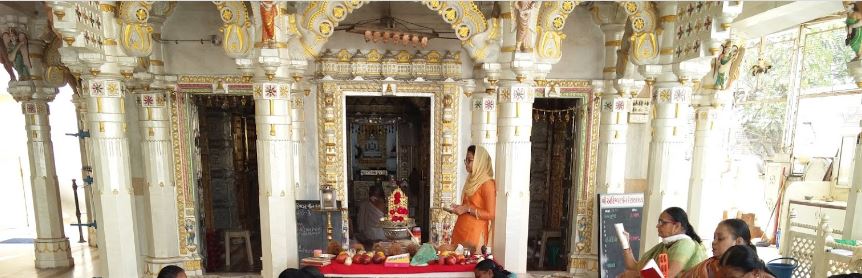 Shri Adinath Bhagwan Jain Derasar, Rajnagar Society, Paldi, Ahmedabad (Gujarat) image 2