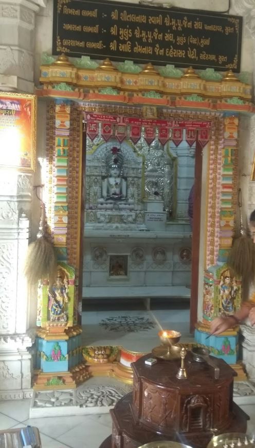 Shri Ajitnath Bhagwan Jain Derasar, Patel Fali, Pal Gam, Surat (Gujarat) image 2