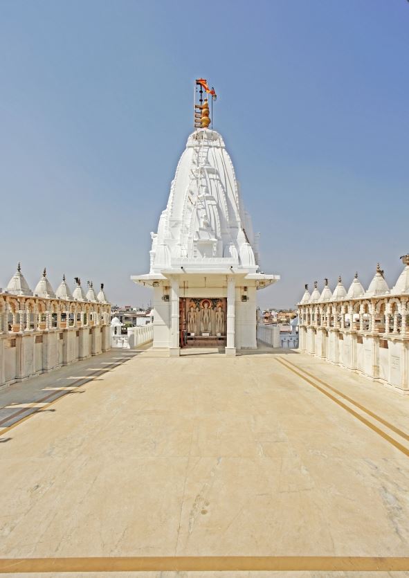 Shri Mahaveer Swami Digamber Jain Mandir, Mahavirnagar, Himatnagar, District - Sabar Kantha (Gujarat) image 6