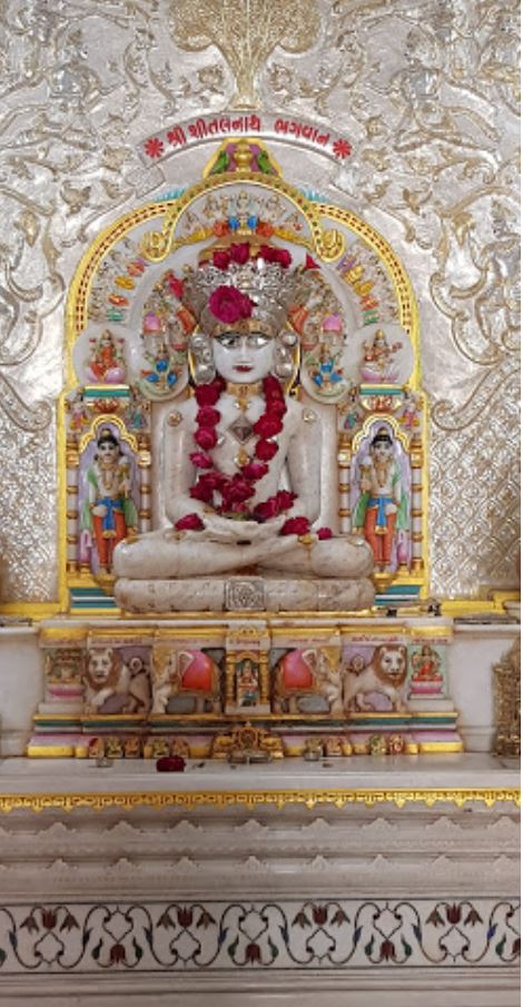Shri Shitalnath Jain Derasar, Chidiya Darwaja, Patan (Gujarat) image 4