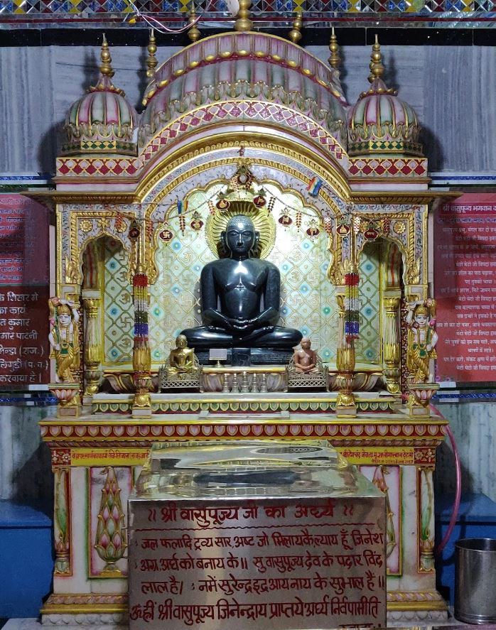 Shri Champapur Digamber Jain Siddh Kshetra Bees Panthi Mandir, Nathnagar, Bhagalpur (Bihar) image 2