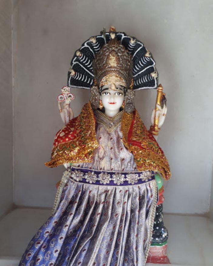 Shri Vasupujya Swami Shwetamber Jain Derasar, Dudhai, District - Kachchh (Gujarat) image 2