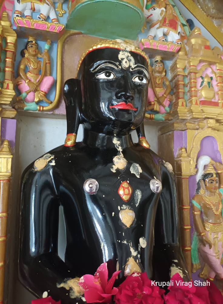 Shri Suparshvnath Bhagwan Shwetamber Jain Derasar, Rapar, District - Kachchh (Gujarat) thumbnail 4