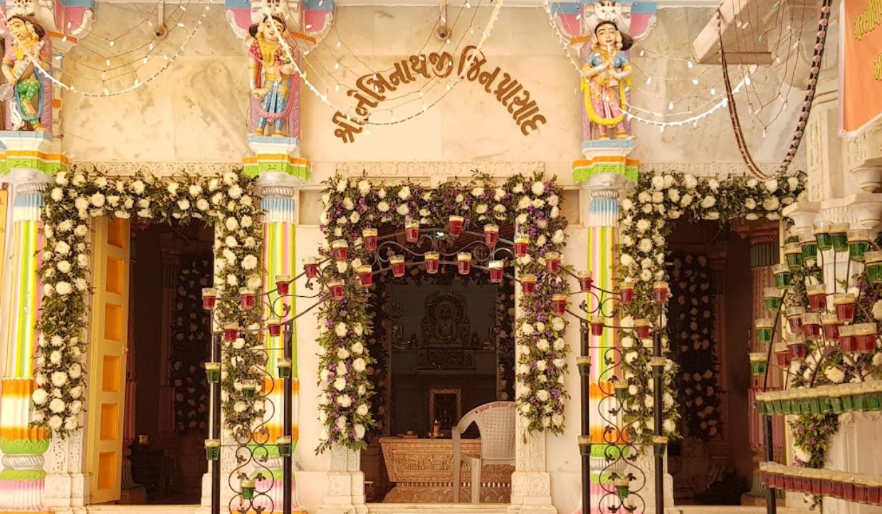Shri Vasupujya Swami Shwetamber Jain Derasar, Malan, Mansa, District - Gandhinagar (Gujarat) image 5
