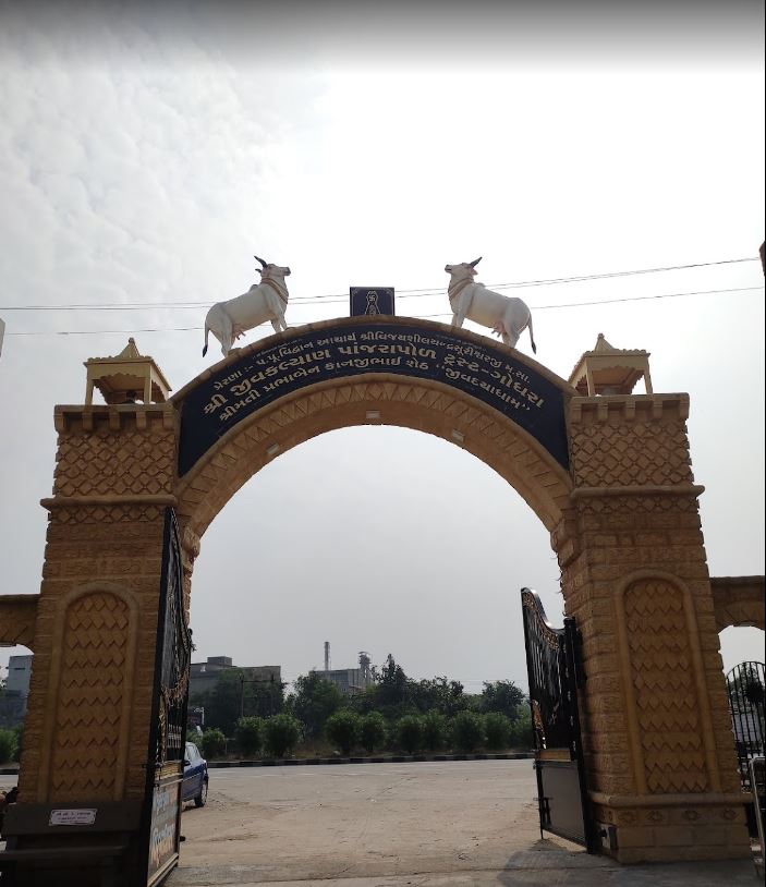 Shri Prabhaben Kanjibhai Sheth Panjrapol and Shwetamber Jain Derasar, Chundadi, District - Panch Mahals (Gujarat) image 5