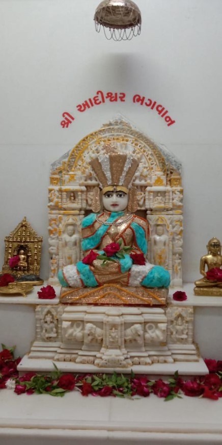 Shri Adinath Bhagwan Shwetamber Jain Derasar, Malbar Hill, Dhanyata Society, Satellite, Ahmedabad (Gujarat) thumbnail 3