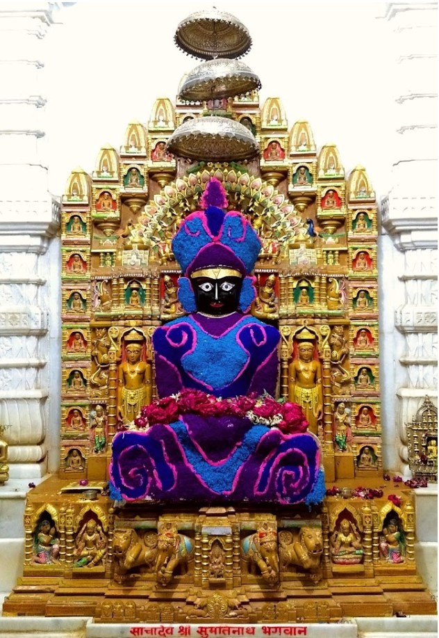 Shri Sacha Sumatinath Shwetamber Jain Derasar, Taleti, Palitana, District - Bhavnagar (Gujarat) thumbnail 3