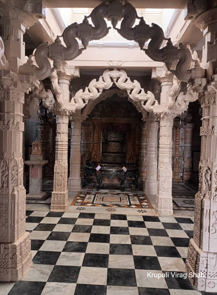 Shri Godi Parshvnath Shwetamber Jain Derasar, Godiji ni Sheri, Radhanpur, District - Patan (Gujarat) image 7