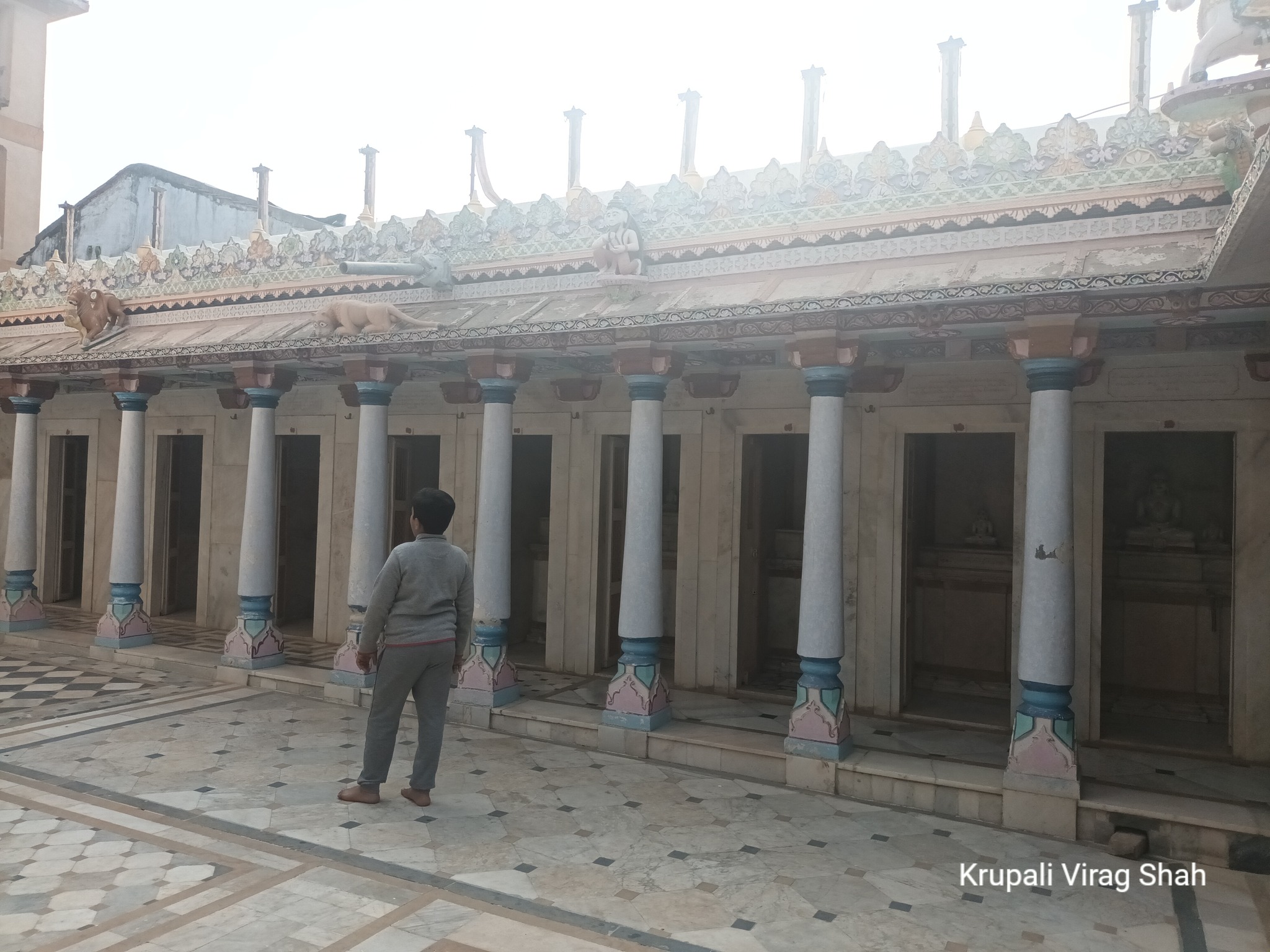 Shri Neminath Bhagwan Shwetamber Jain Derasar, Ghelaseth Ki Sheri, Radhanpur, District - Patan (Gujarat) thumbnail 6