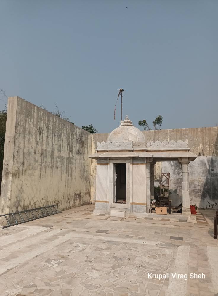 Shri Godi Parshvnath Ka Pagliya Shwetamber Jain Derasar, Varkhadi, Radhanpur, District - Patan (Gujarat) image 3