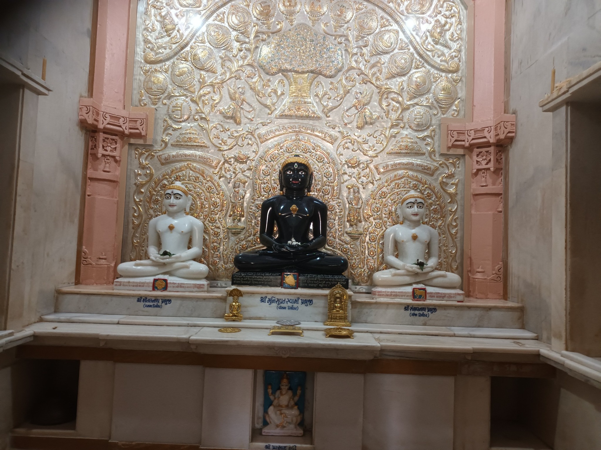 Shri Munisuvratnath Swami Shwetamber Jain Mandir, Chhasra, District - Kachchh (Gujarat) image 8