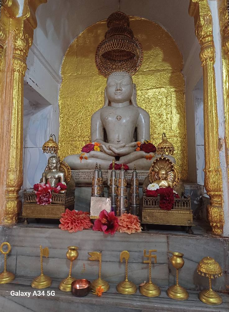Shri 1008 Suparshvnath Digamber Jain Mandir , Rustam Ganj, Naubatpur, Patna (Bihar) main image