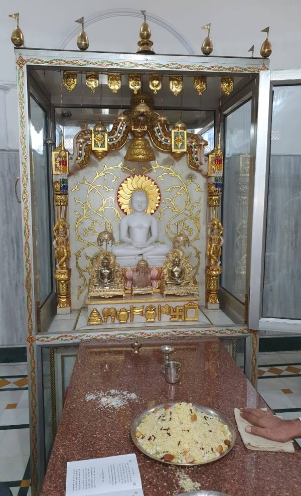 Shri 1008 Adinath Digamber Jain Mandir, Sector 10, Faridabad (Haryana) image 2