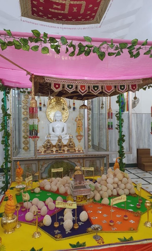 Shri 1008 Adinath Digamber Jain Mandir, Sector 10, Faridabad (Haryana) image 3