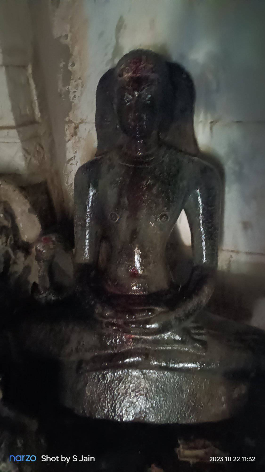 Shri Digambar Jain Pracheen Mandir, Chinnatumbalam, District - Kurnool (A.P.) image 6