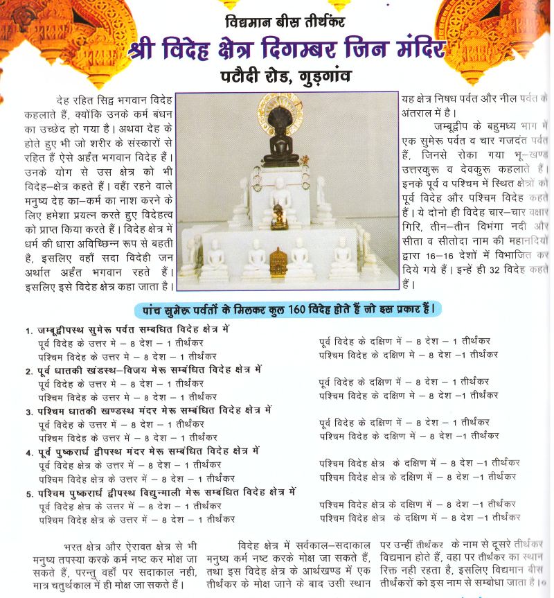 Shri Videh Kshetra Digamber Jin Mandir, Pataudi Road, Gurugram (Haryana) image 1