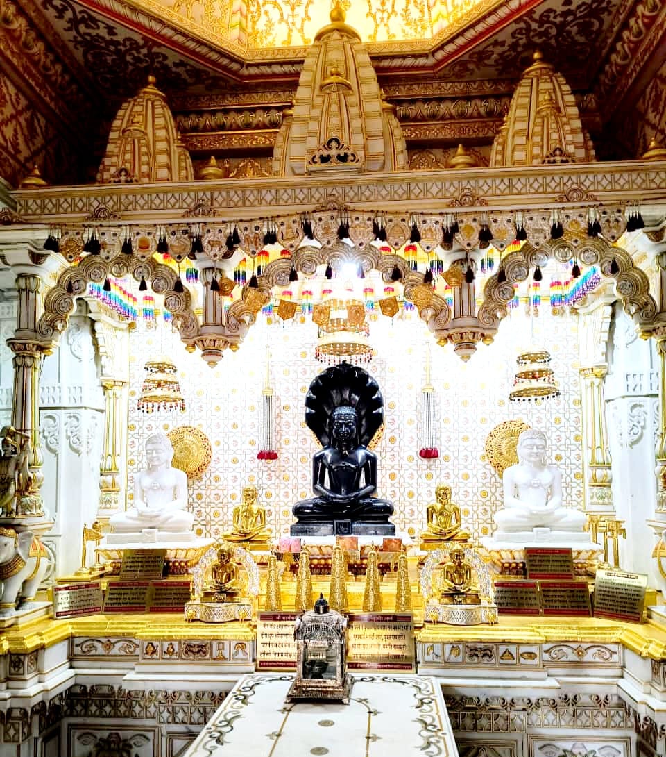 Shri 1008 Bhagwan Parshvnath Digambar Jain Gajrath Mandir, Sector 1, Rohtak (Haryana) thumbnail 5