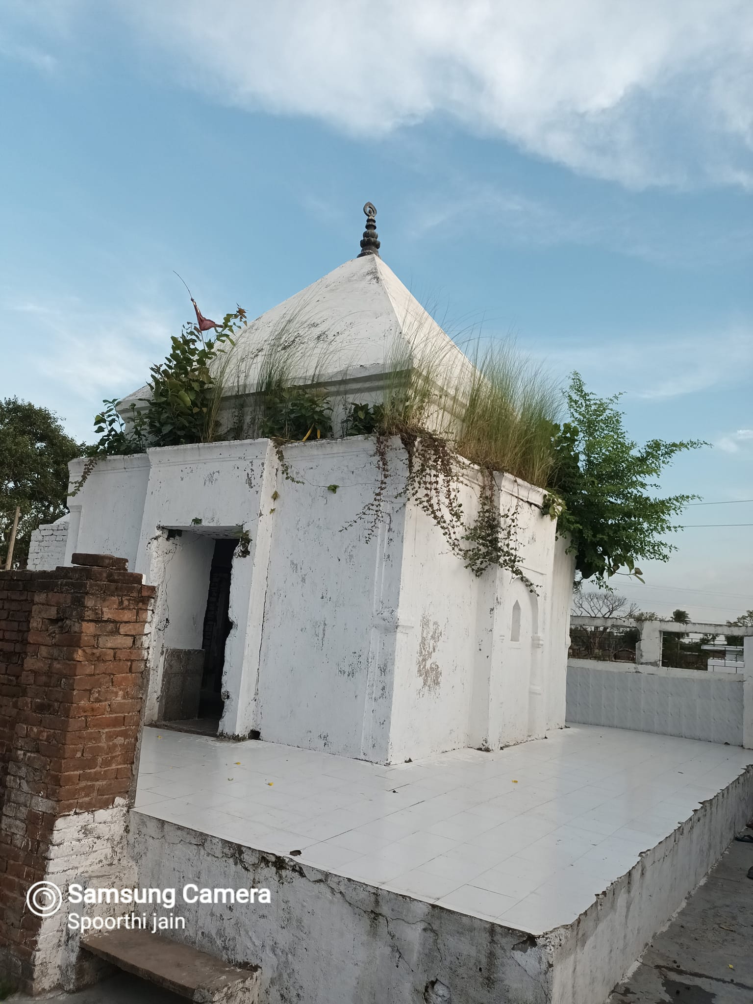 Shri 1008 Bhagwan Mahaveer Digamber Jain Mandir, Bauna Pokher, Basarh, District - Vaishali (Bihar) thumbnail 6