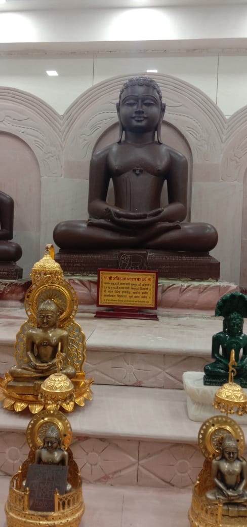 Shri Shantinath Digamber Jain Mandir, Hasanpur, District - Palwal (Haryana) image 3