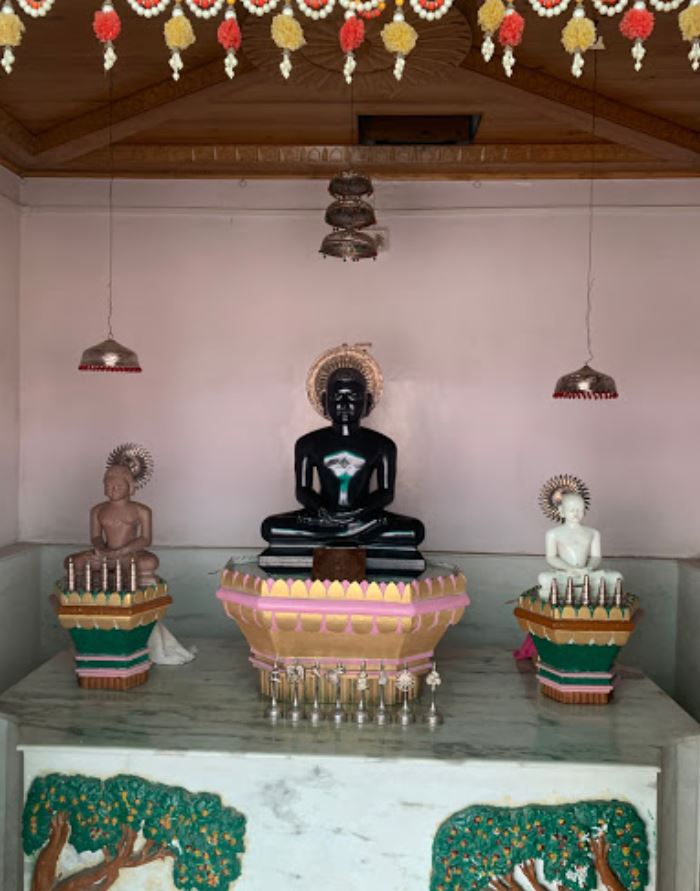 Shri Digamber Jain Mandir, Barsoi, District - Katihar (Bihar) image 4