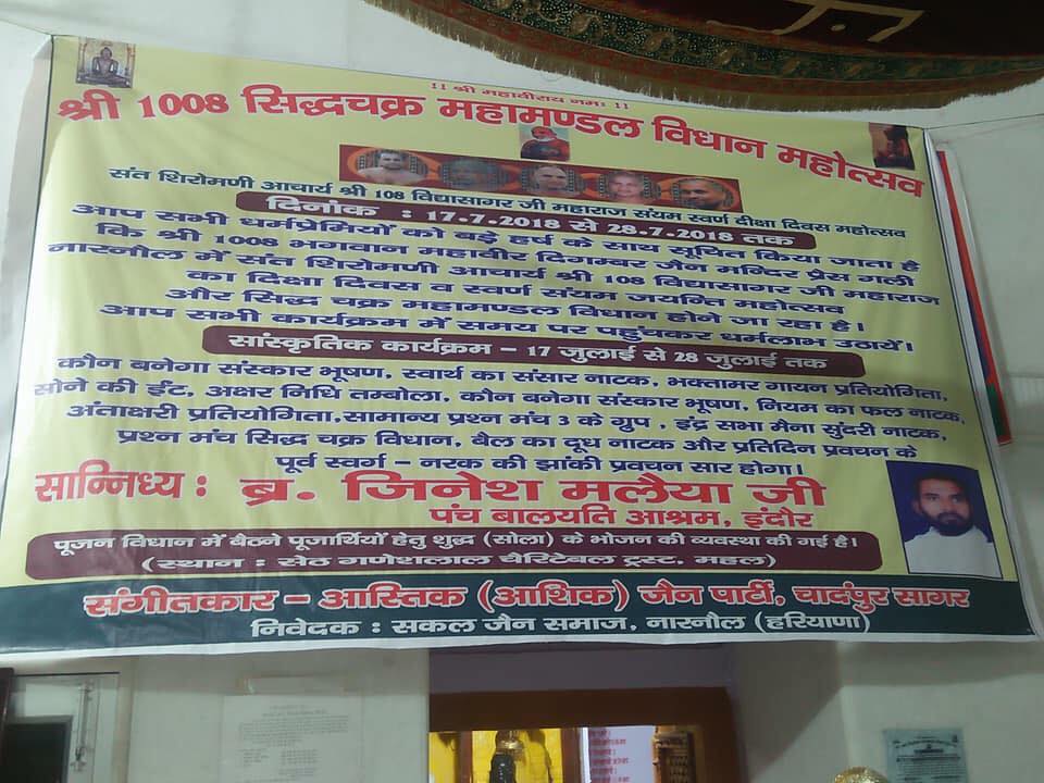 Shri 1008 Bhagwan Mahaveer Digamber Jain Mandir, Press Gali, Narnaul, District-Mahendragarh (Haryana) thumbnail 3