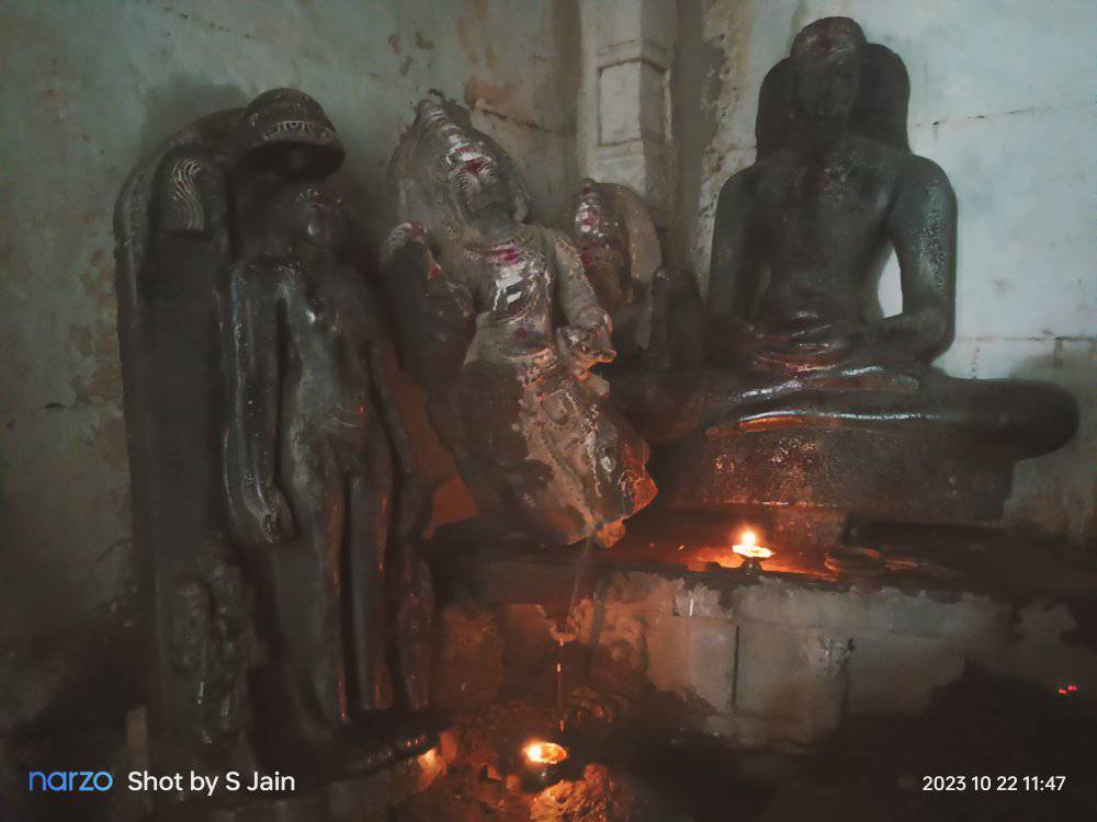 Shri Digambar Jain Pracheen Mandir, Chinnatumbalam, District - Kurnool (A.P.) image 8