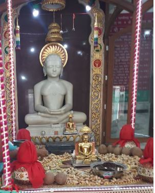 Shri Adinath Digamber Jain Mandir, Sector 12, Huda, Panipat (Haryana) image 3