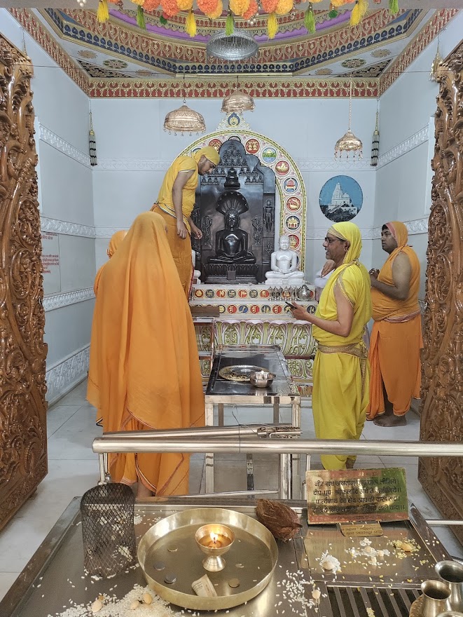 Shri Aninda Parshvnath Digamber Jain Mandir, Shri Sammed Shikharji Talehati, Madhuban, District - Giridih (Jharkhand) thumbnail 5