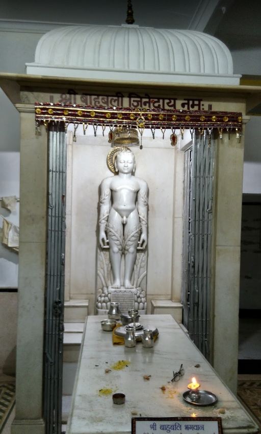 Shri Digambar Jain Mandir, Bada Chowk, Giridih (Jharkhand) image 3