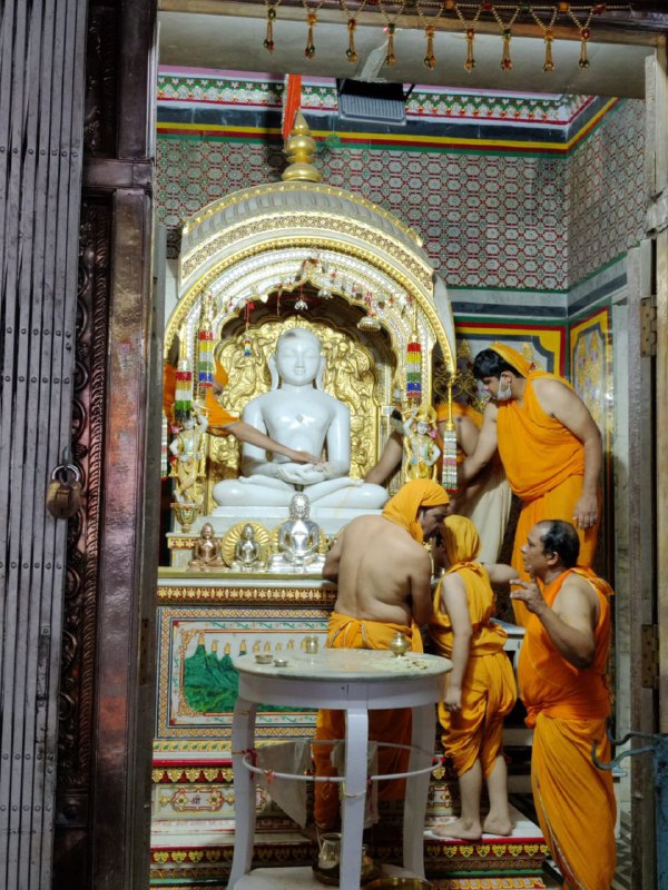 Shri Digamber Jain Mandir Terapanthi Kothi Jain Mandir, Madhuban, District - Giridih (Jharkhand) image 5