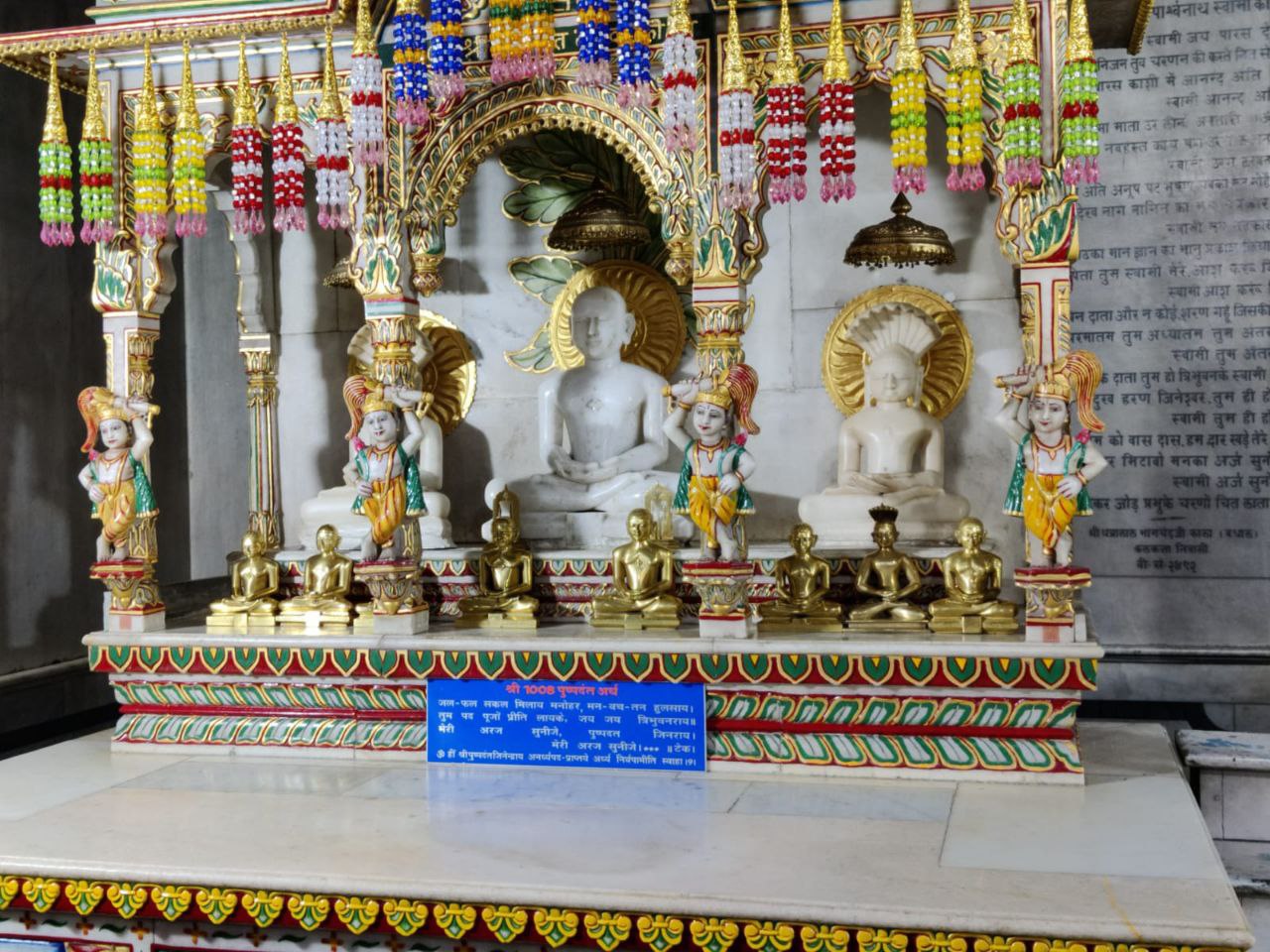 Shri Digamber Jain Mandir Terapanthi Kothi Jain Mandir, Madhuban, District - Giridih (Jharkhand) image 8