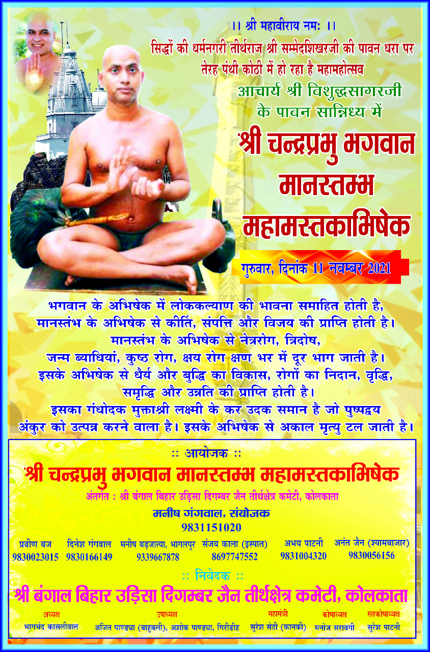 Shri Digamber Jain Mandir Terapanthi Kothi Jain Mandir, Madhuban, District - Giridih (Jharkhand) image 12