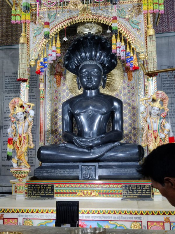 Shri Digamber Jain Mandir Terapanthi Kothi Jain Mandir, Madhuban, District - Giridih (Jharkhand) image 13