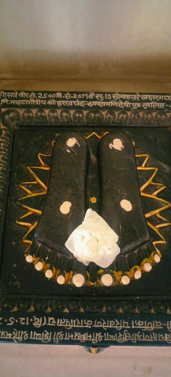 Shri Bhaddilpur Jain Shwetamber Tirth, Bhondal, District - Chatra (Jharkhand) image 5