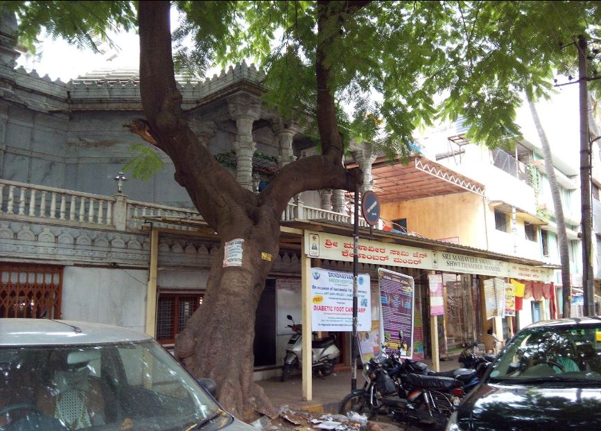Sri Mahaveer Swamy Jain Shwetamber Mandir, Chamrajpet, Bengaluru (Karnataka) image 1