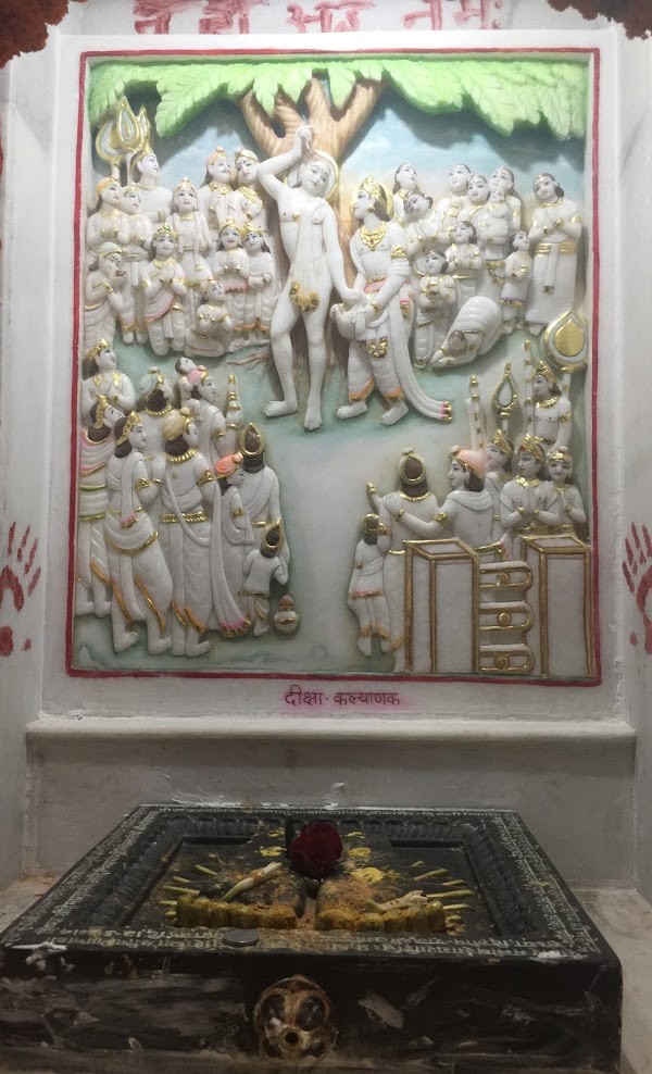 Shri Mithila Jain Tirth, Dumra District-Sitamarhi (Bihar) image 8
