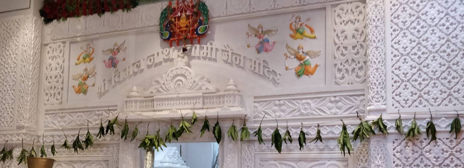 Shri Vimalnath Swami Shwetamber Jain Mandir, Platinum Ananda, Kempegowda Nagar, Bull Temple Road, Bengaluru (Karnataka) image 1