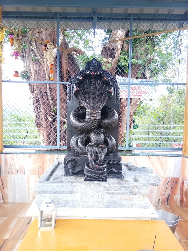 Shri 1008 Parshwanath and Jod Padmavatidevi Nagarvalli Kshetra, Moralli, District-Uttara Kannada (Karnataka) image 7