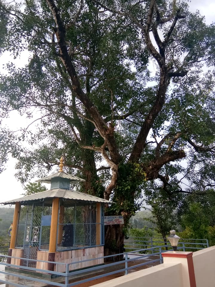 Shri 1008 Parshwanath and Jod Padmavatidevi Nagarvalli Kshetra, Moralli, District-Uttara Kannada (Karnataka) image 10