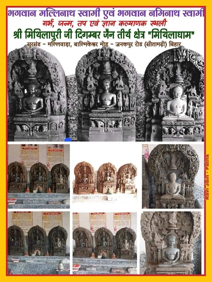 Shri Mithilapuriji Digamber Jain Tirth Kshetra, Mithiladham Balmikeswar Mor, Janakpur Road, Post-Sursand, District-Sitamarhi (Bihar) image 5