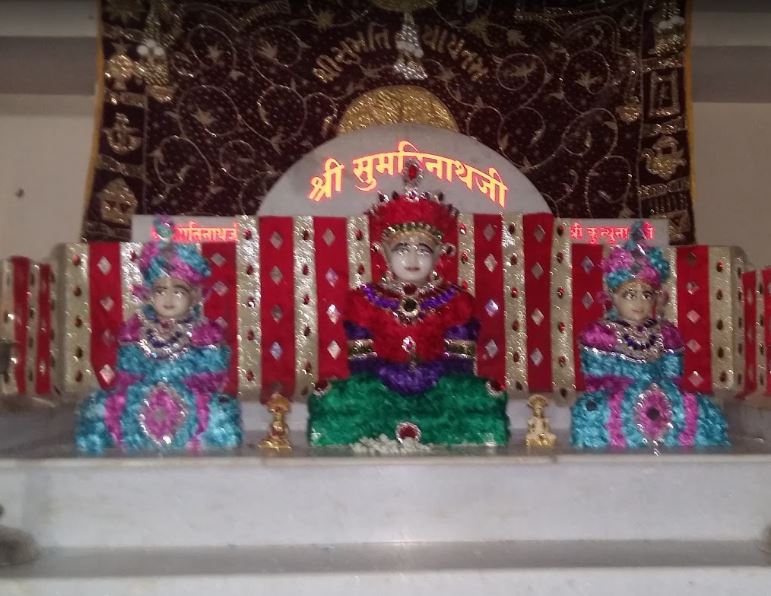 Shri Sumatinath Jain Mandir, Muslimpura, Yadgir (Karnataka) image 1