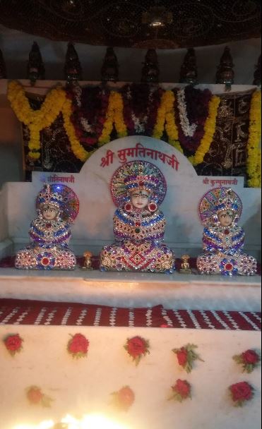 Shri Sumatinath Jain Mandir, Muslimpura, Yadgir (Karnataka) image 3