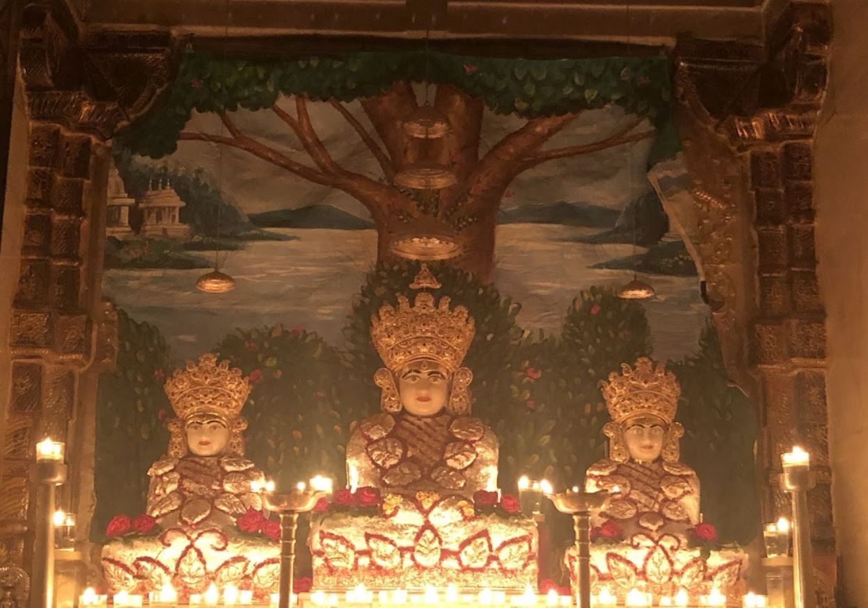 Shri Sambhavnath Jain Shwetamber Mandir, Vidya Nagar, Hubli, District - Dharwad (Karnataka) image 3